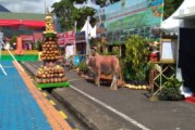 Pedagang Kecipratan Rezeki Selama Pameran Berlangsung di HUT Kabupaten Lingga ke-16