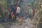 Polres Lingga, TNI serta Damkar Lingga Padamkan Kebakaran Hutan dan Lahan