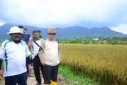 Kepri Defisit Beras, Lingga Minta Alokasi Cetak Sawah Baru ke Menteri BUMN