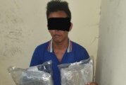 Dit Resnarkoba Polda Kepri Berhasil Amankan Satu Orang Pelaku Pemilik 6,8 Kg Daun Ganja Kering