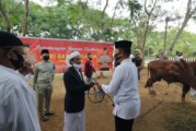 Idul Adha 1441 H, Polda Kepri dan Jajaran Qurban 43 Ekor Sapi dan 34 Ekor Kambing