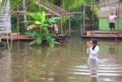 Hujan Deras, Banjir Rob Genangi Pemukiman Desa Sungai Besar