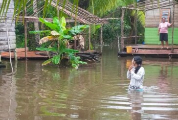 Hujan Deras, Banjir Rob Genangi Pemukiman Desa Sungai Besar