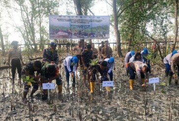 Penanaman Mangrove Serentak, Lanal Dabo Singkep Tanam 5 Ribu Bibit Mangrove di Desa Sedamai