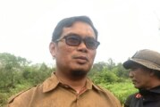 Evakuasi Buaya di Marok Kecil Tunggu Keputusan Kades dan Masyarakat Setempat