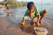 Isi Libur Akhir Pekan dengan Kegiatan Menyenangkan: Mencari Remis di Pantai Desa Tanjung Harapan