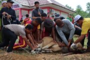 Keteladanan AKBP Pahala Martua Nababan di Hari Raya Idul Adha: Kepedulian Sosial Polres Lingga dalam Aksi Nyata