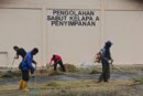 Bangkitkan Kembali Industri Lokal, Pemkab Lingga Siapkan Langkah Nyata Hidupkan IKM Sentra Kelapa di Singkep Selatan