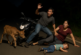 Anak Sapi Seruduk Pengendara Motor, Balita Alami Luka Serius