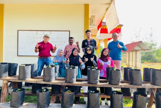 Satu ASN, Lima Pohon Cabai: Lurah Sungai Lumpur Gencarkan Gerakan Mandiri Pangan