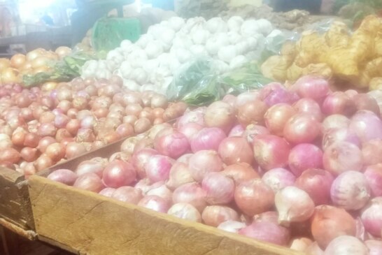Harga Bawang Merah di Dabo Singkep Tembus Rp.40.000 per Kilogram