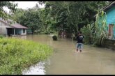 Puluhan Rumah di Dabo Singkep Terendam Banjir, Satu Dapur Warga Roboh