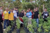 Dari Pekarangan Jadi Berkah: Barenlitbang Lingga Panen Perdana Cabai Rawit