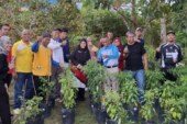 Dari Pekarangan Jadi Berkah: Barenlitbang Lingga Panen Perdana Cabai Rawit