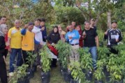 Dari Pekarangan Jadi Berkah: Barenlitbang Lingga Panen Perdana Cabai Rawit