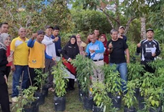 Dari Pekarangan Jadi Berkah: Barenlitbang Lingga Panen Perdana Cabai Rawit