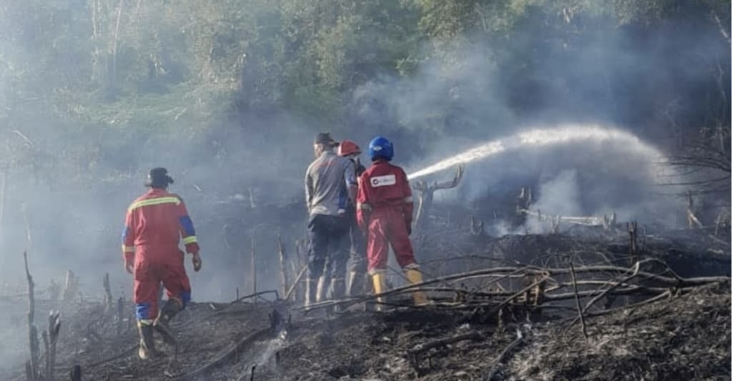 Kobaran Api Melanda Batu Runcing Dabo Singkep, Damkar Bergerak Cepat Padamkan Karhutla | F. Redaksi