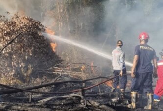 Kobaran Api Melanda Batu Runcing Dabo Singkep, Damkar Bergerak Cepat Padamkan Karhutla