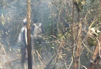 Karhutla Kembali Terjadi di Sungai Lumpur, Damkar Lingga Bergerak Cepat Padamkan Api