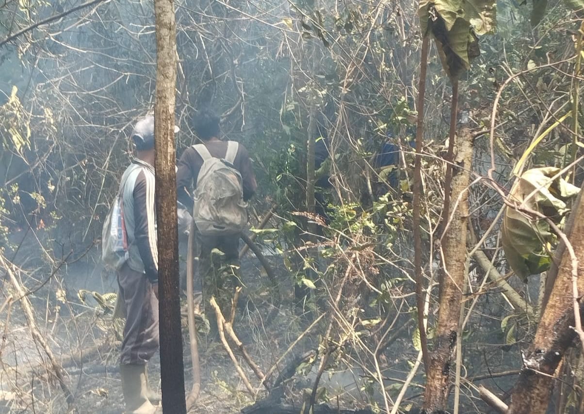 Karhutla Kembali Terjadi di Sungai Lumpur, Damkar Lingga Bergerak Cepat Padamkan Api | F. Redaksi