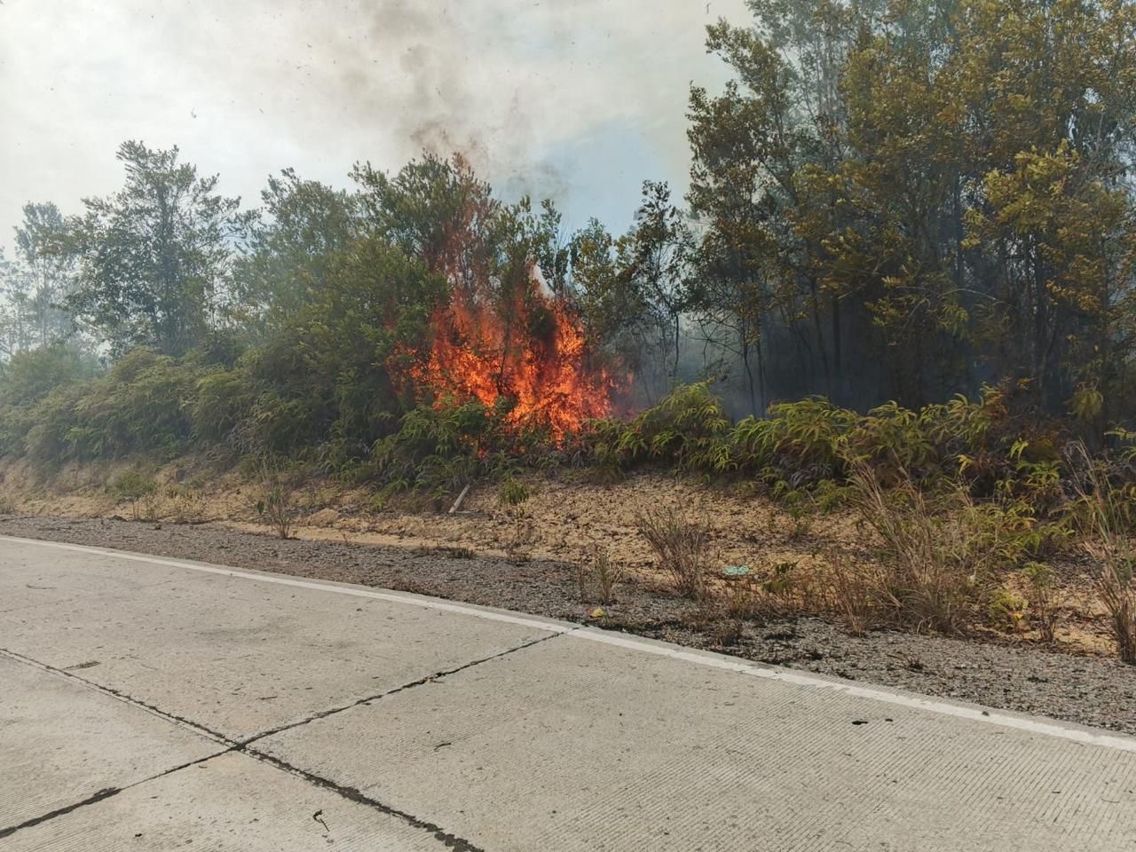 Aksi Cepat Satsamapta Polres Lingga Turunkan AWC Padamkan Kebakaran Lahan di Singkep Barat | F. Redaksi