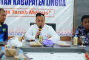 Bupati dan Wakil Bupati Lingga Dorong Percepatan Pengaktifan Kembali Lahan Cetak Sawah