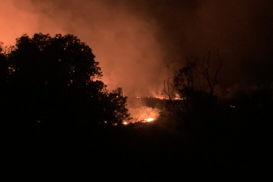 Kebakaran Kembali Terjadi di Kawasan Bukit Belakang SMP 2 Negeri Singkep, Api Menyala Hingga Malam Hari