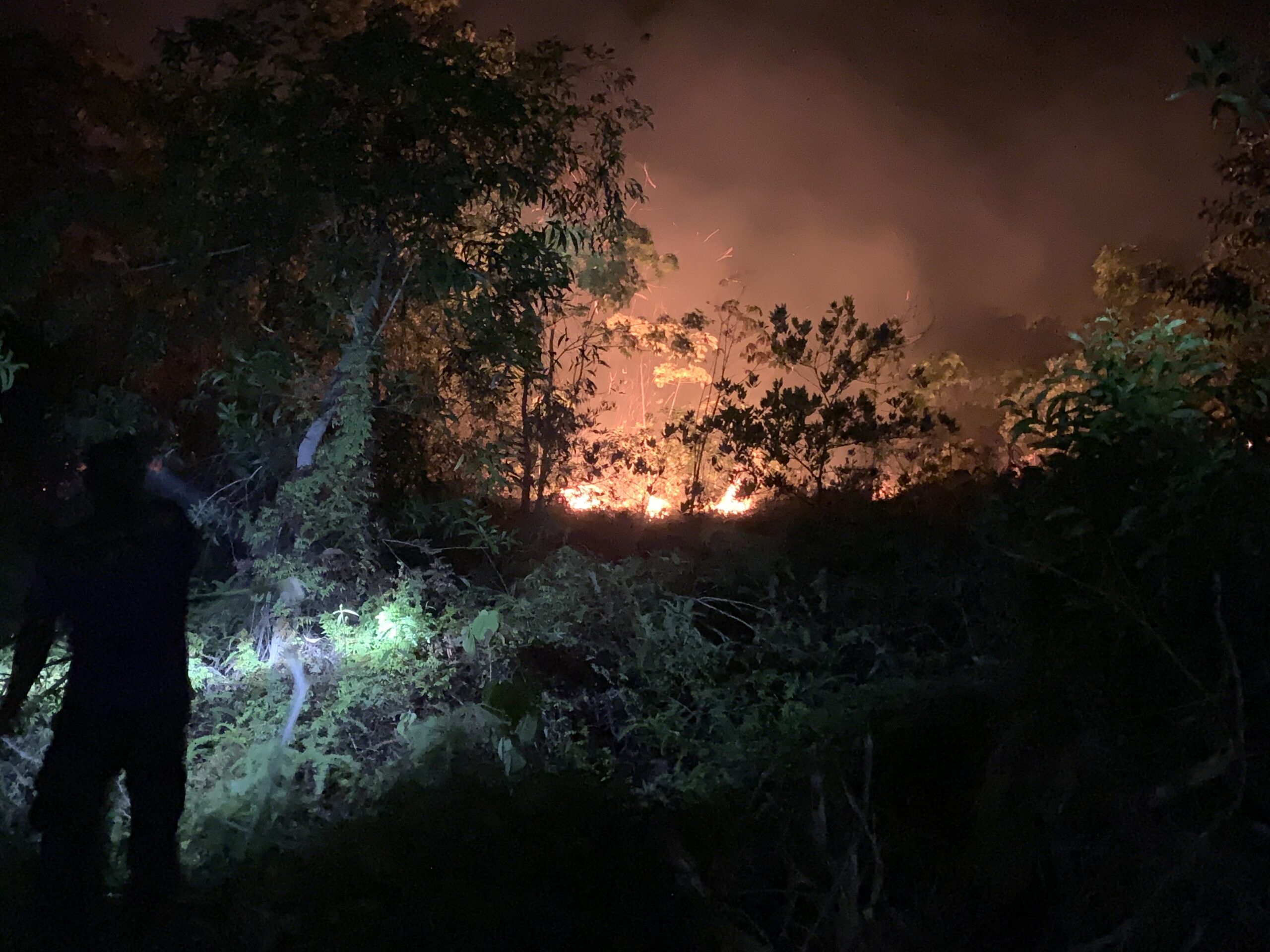 Kebakaran Kembali Terjadi di Kawasan Bukit Belakang SMP 2 Negeri Singkep, Api Menyala Hingga Malam Hari | F. Penulis