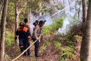 Aksi Cepat Satsamapta Polres Lingga Turunkan AWC Padamkan Kebakaran Lahan di Singkep Barat