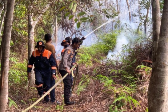 Aksi Cepat Satsamapta Polres Lingga Turunkan AWC Padamkan Kebakaran Lahan di Singkep Barat