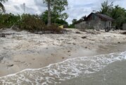 Abrasi Pantai Terjang Deretan Pesisir Pantai MIN Kampung Boyan, Satu Bangunan Warga Dilaporkan Roboh