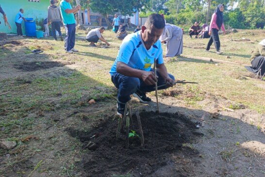 Disperindagkop UKM Lingga Tanam 52 Pohon Kates, Perkuat Ketahanan Pangan