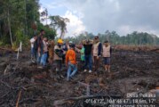 Polemik Lahan Sagu di Desa Pekaka, Perusahaan Klaim Tak Sengaja dan Siap Beri Kompensasi