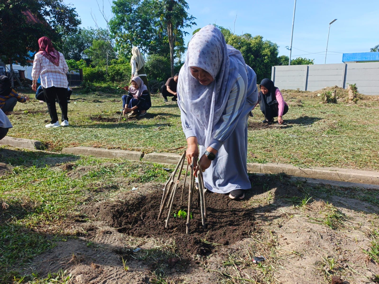 Disperindagkop UKM Lingga Tanam 52 Pohon Kates, Perkuat Ketahanan Pangan | F. Redaksi