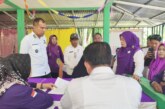 Lingga Jadi Kontributor Terbesar Kepri dalam Semarak Hari Posyandu Nasional 2026