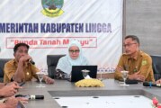 Pemkab Lingga Gelar Rakor Persiapan Penilaian SPIP Tahun 2026 Bersama BPKP Kepri