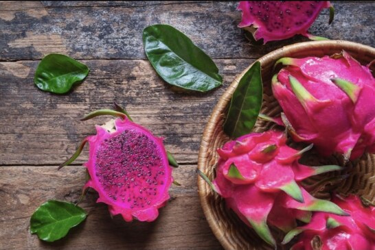 Buah Naga, Superfood Tropis yang Kaya Manfaat bagi Kesehatan Tubuh
