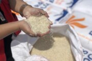 Pemerintah Perkuat Ketahanan Pangan Nasional Hadapi Tantangan Global