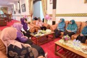 TP Posyandu Lingga Berikan Penghargaan kepada Kecamatan Terbaik Pelaksanaan Posyandu 6 SPM Tahun 2026